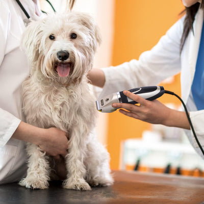 Nobleza Tierhaarschneider Profi Hund Haarschneidemaschine Set Leise Haustier Schermaschine Katze Pfe