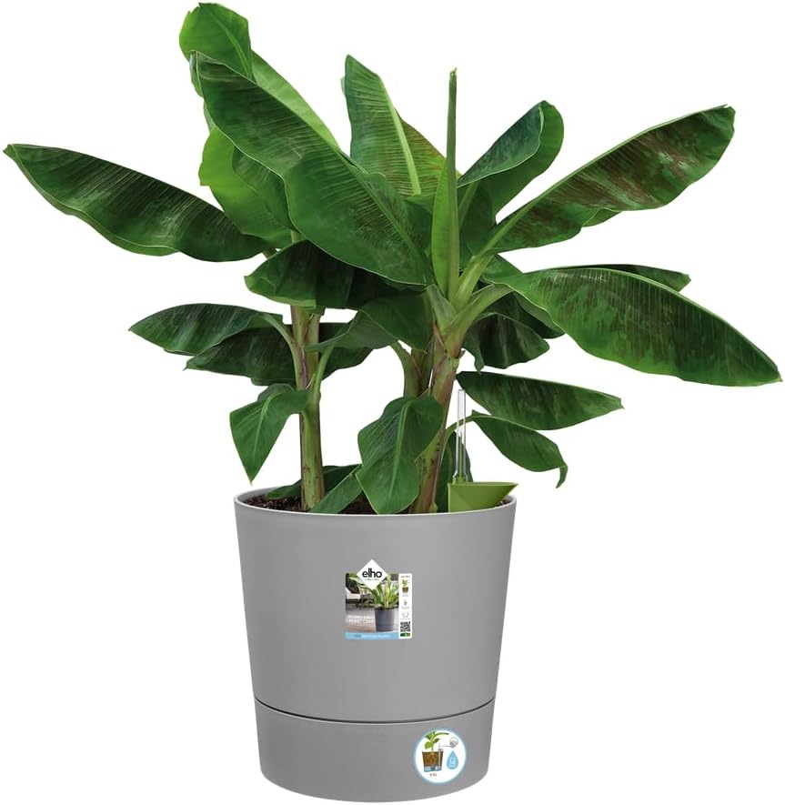 elho Greensense Aqua Care Rund 43 mit Integrierte Wasserspeicher - Blumentopf für Innen &amp; Aussen - 1