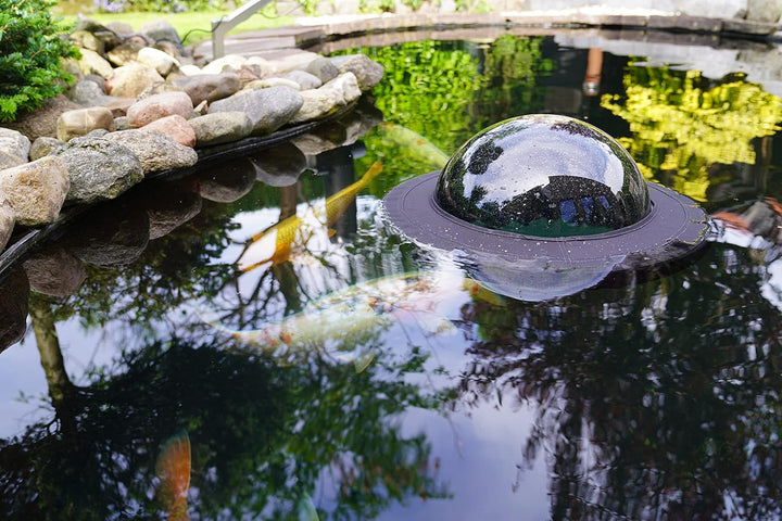 Velda 123503 Plexiglas-Kuppel zum Beobachten von Teichfischen, Ø 35 cm, Floating Fish Dome M