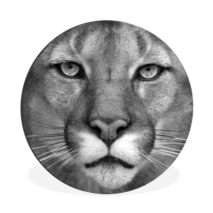 MuchoWow Wandbild Rund Wanddeko Deko Wohnzimmer Bilder 90x90 cm Panther - Wildlife - Schwarz - Weiss