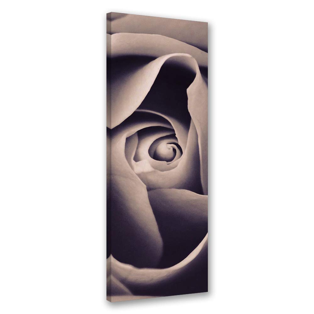 Leinwandbild XXL Rose Wandbild Kunst Natur Beige 60x150 cm Leinwandbild 60x150 cm Beige_a, Leinwandb
