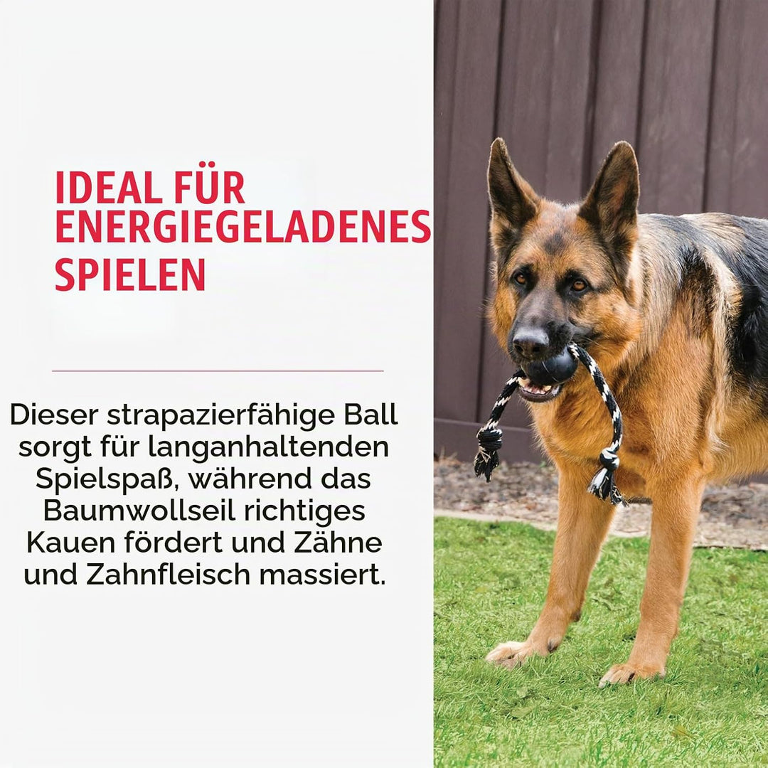 KONG Extreme Ball mit Seil Large 1 Stück (1er Pack), 1 Stück (1er Pack)