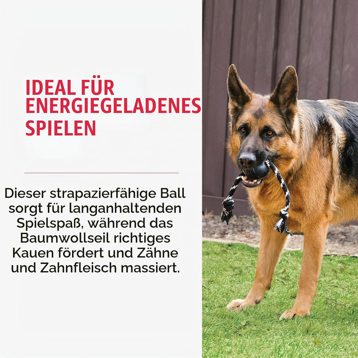 KONG Extreme Ball mit Seil Large 1 Stück (1er Pack), 1 Stück (1er Pack)