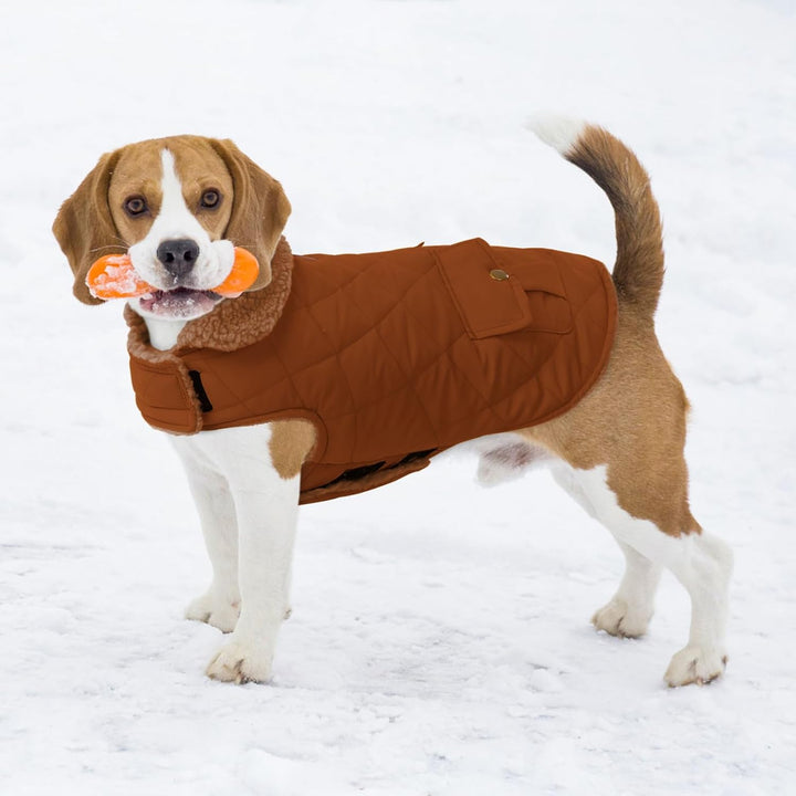 Wintermantel Hundemantel, Warme Winterjacken mit Fleece für Hunde,Hundejacke Hundekleidung Hundepull