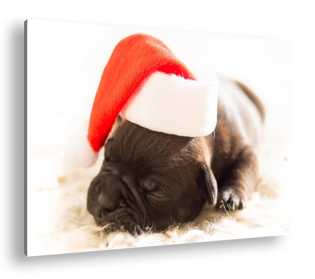 deyoli süsser Hund mit Weihnachtsmütze im Format: 80x60 als Leinwandbild, Motiv fertig gerahmt auf E
