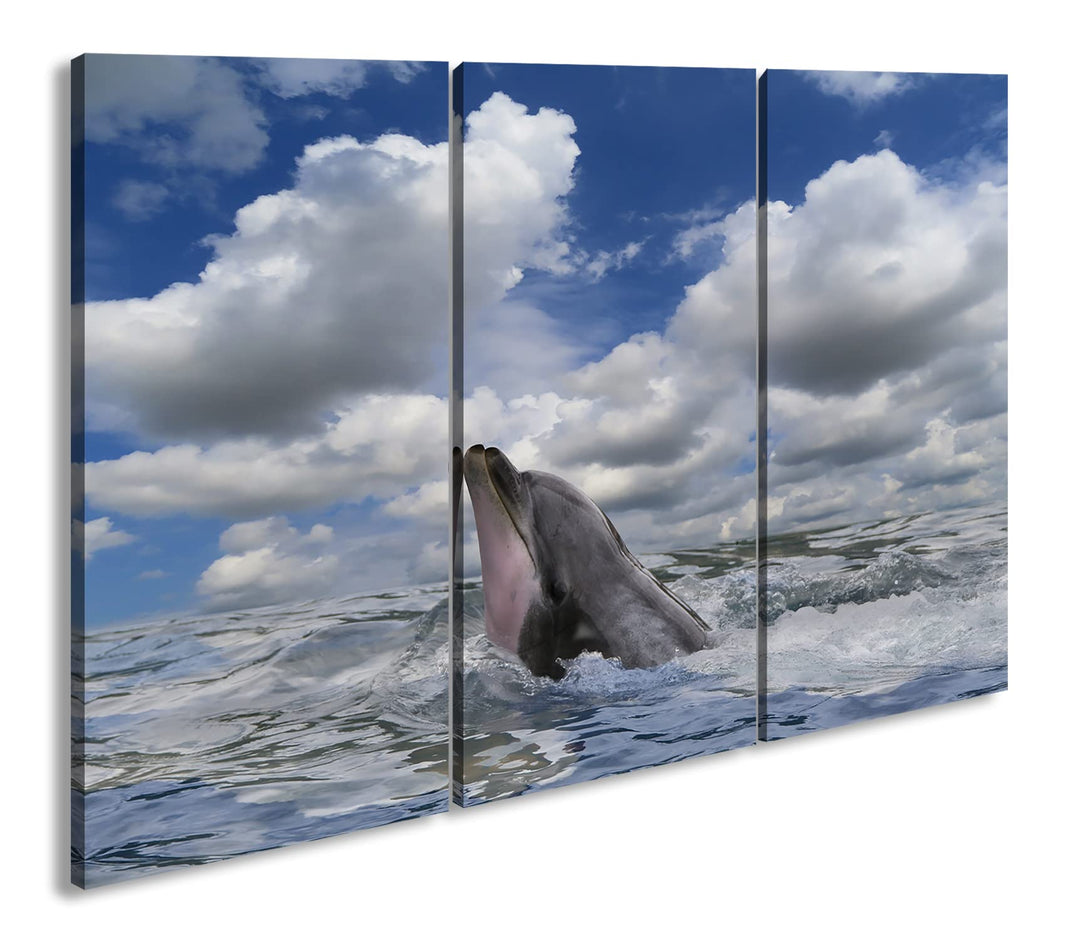 deyoli zauberhafter Delfin Format: 3Teilig als Leinwandbild, Motiv fertig gerahmt auf Echtholzrahmen
