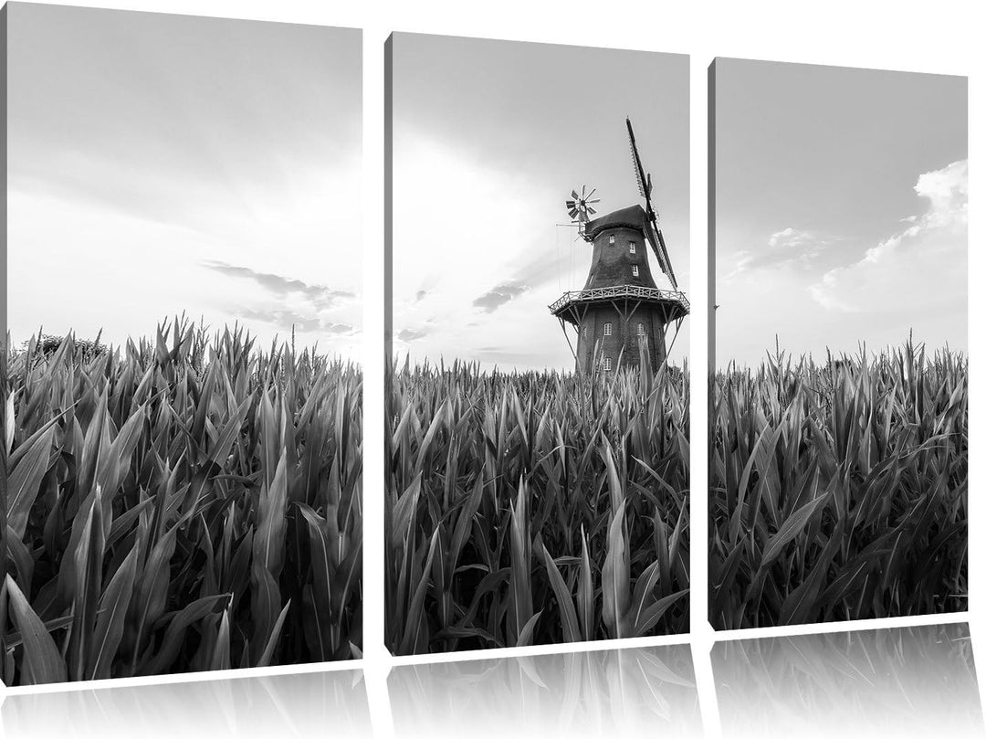 Pixxprint Windmühle auf dem Feld / 3-Teilig/Gesamtmass 120cm Leinwandbild bespannt auf Holzrahmen/Wa