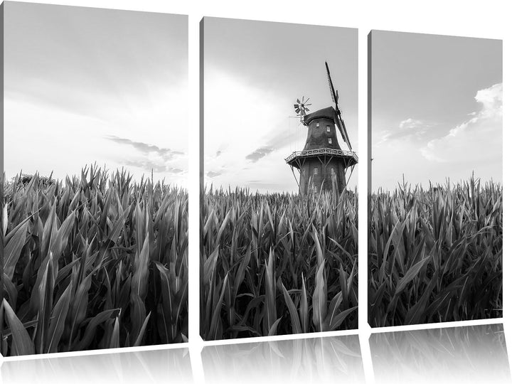 Pixxprint Windmühle auf dem Feld / 3-Teilig/Gesamtmass 120cm Leinwandbild bespannt auf Holzrahmen/Wa