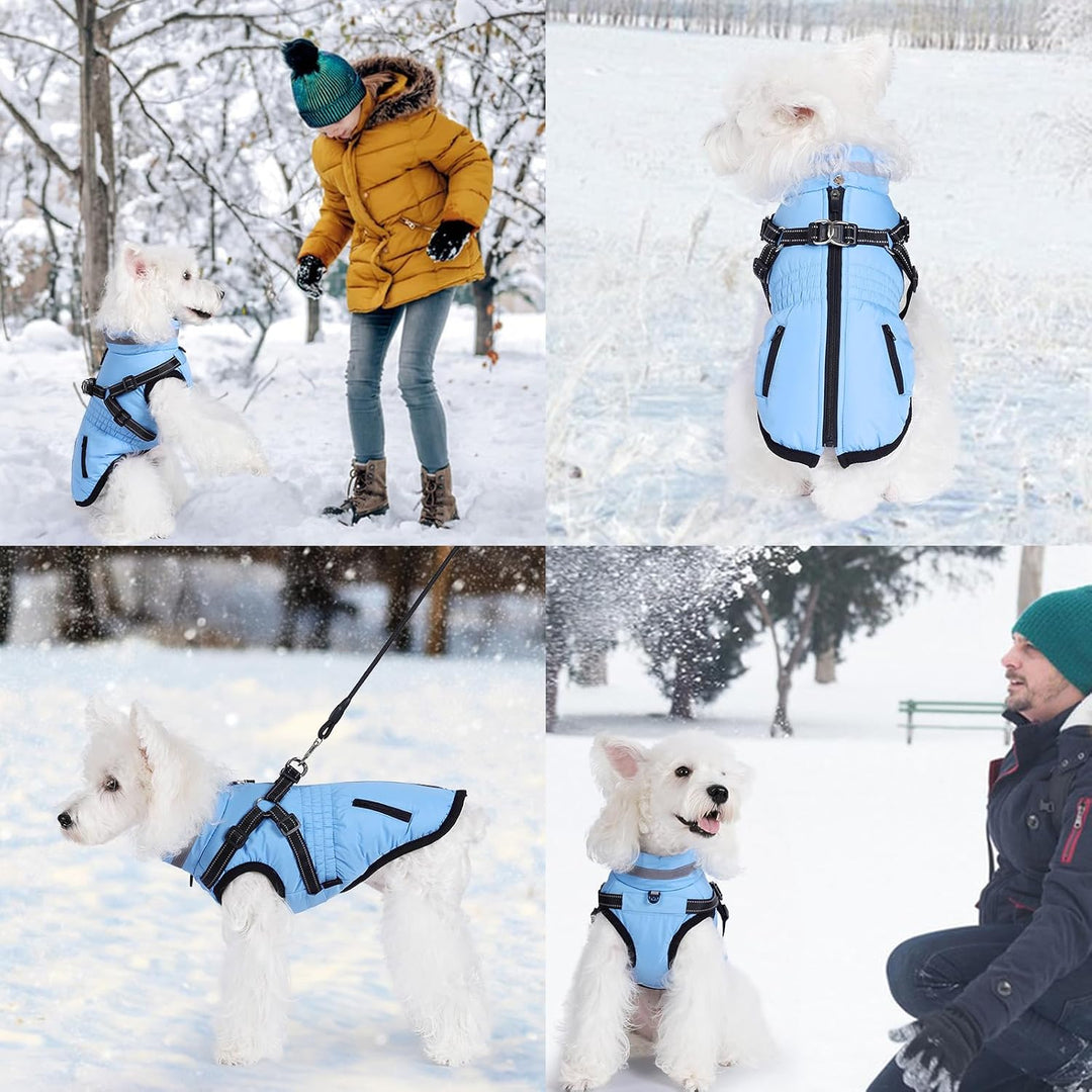 Hundemantel Wasserdicht Hundejacke Hundepullover mit Reissverschluss Kleine Hunde Winter Warme Jacke