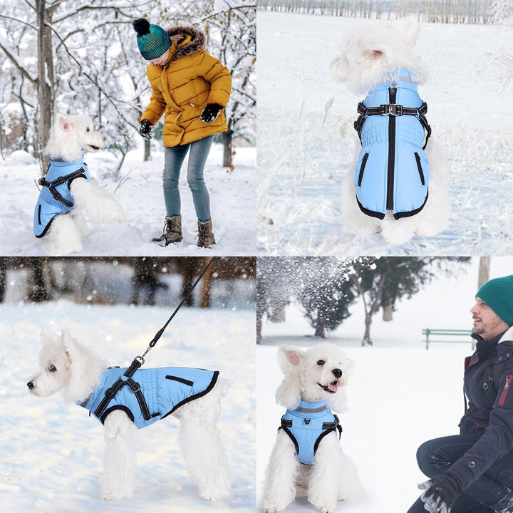 Hundemantel Wasserdicht Hundejacke Hundepullover mit Reissverschluss Kleine Hunde Winter Warme Jacke