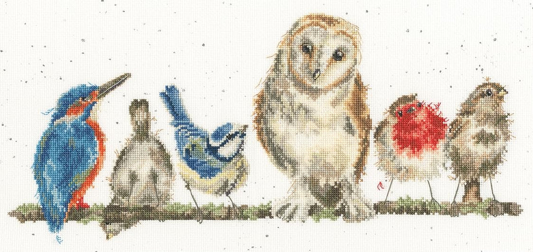 Bothy Threads The Home Of Happy Stitching Bothy Threads Kreuzstich-Set nach Zählmuster Vielfalt des