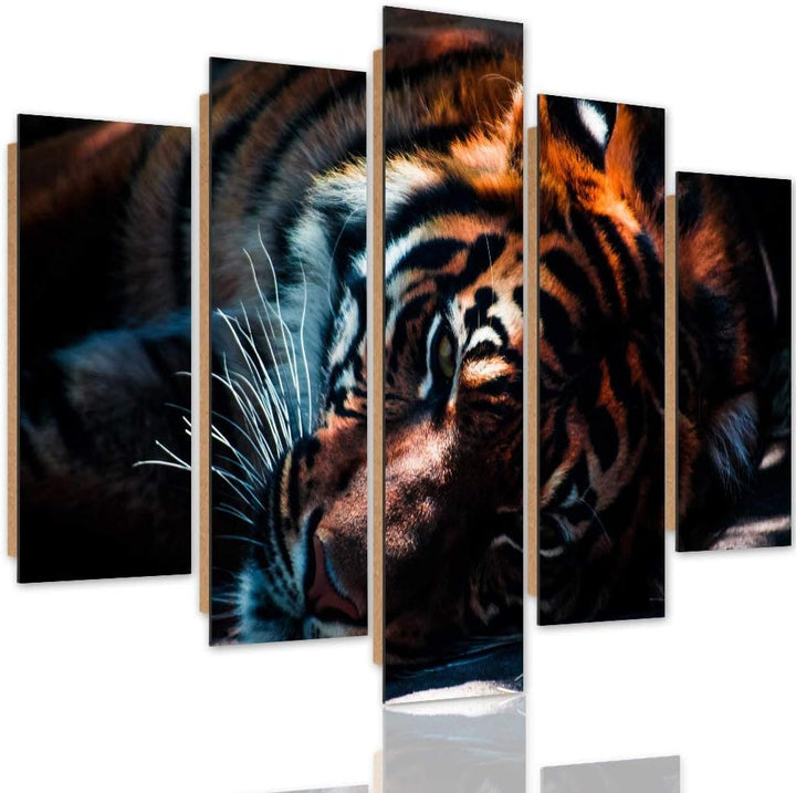 Feeby. Wandbild - 5 Teile - Deco Bild, gedrucktes Bild, Foto, Deco Panel, XXL, 5-Teilig, Typ A, 250x