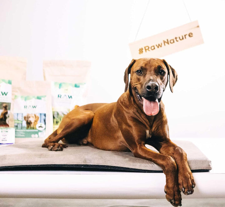 RAW Nature Trockenfutter Adult mit Ente 5kg, kaltgepresstes Hundefutter, Getreidefrei, 100% Muskelfl