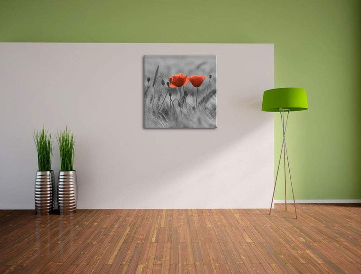 Pixxprint Mohnblumen auf einem Feld schwarz/weiss, Format: 70x70 auf Leinwand, 70x70