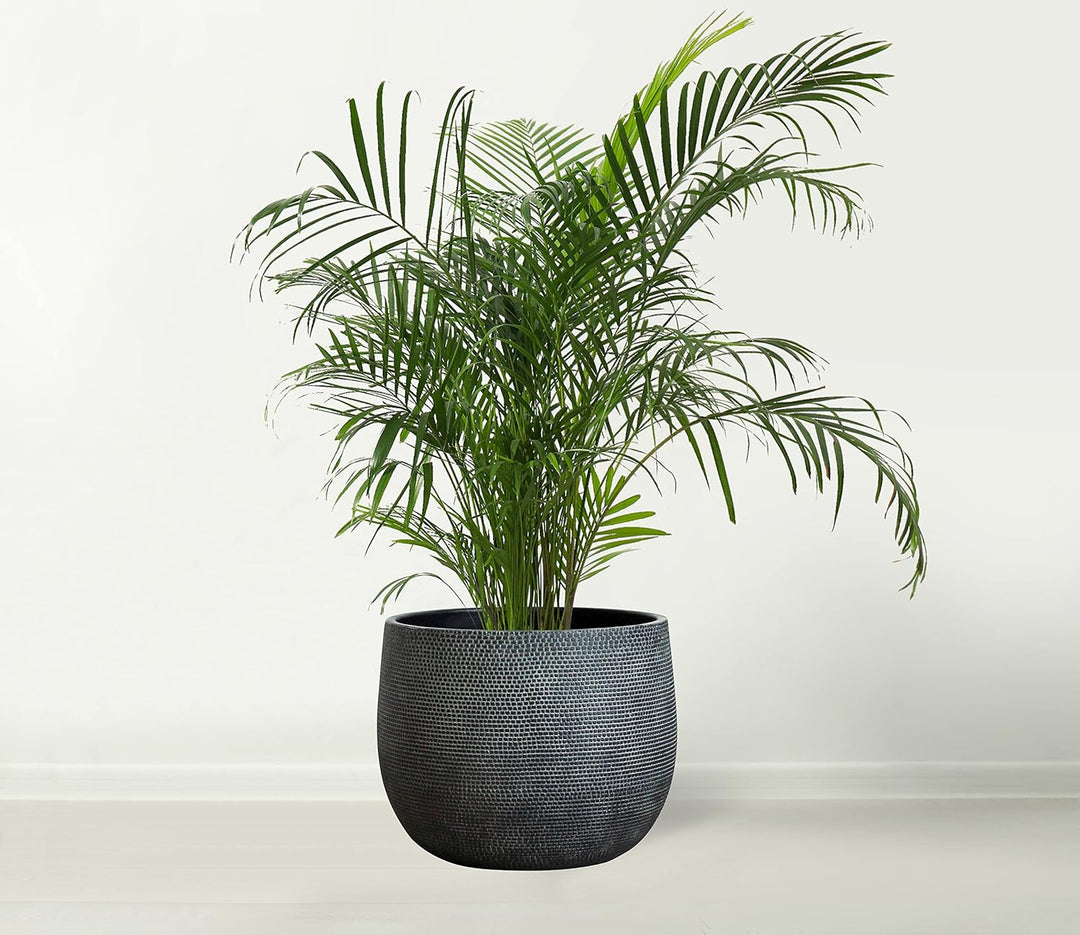 Olly & Rose Barcelona Keramik-Blumentopf, gross, 25 cm, Schwarze Blumentöpfe – Pflanztöpfe für drinn