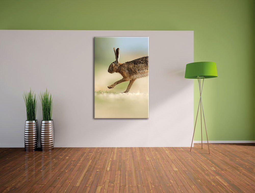 Pixxprint Hüpfender Hase, Format: 100x70 auf Leinwand, XXL riesige Bilder fertig gerahmt mit Keilrah