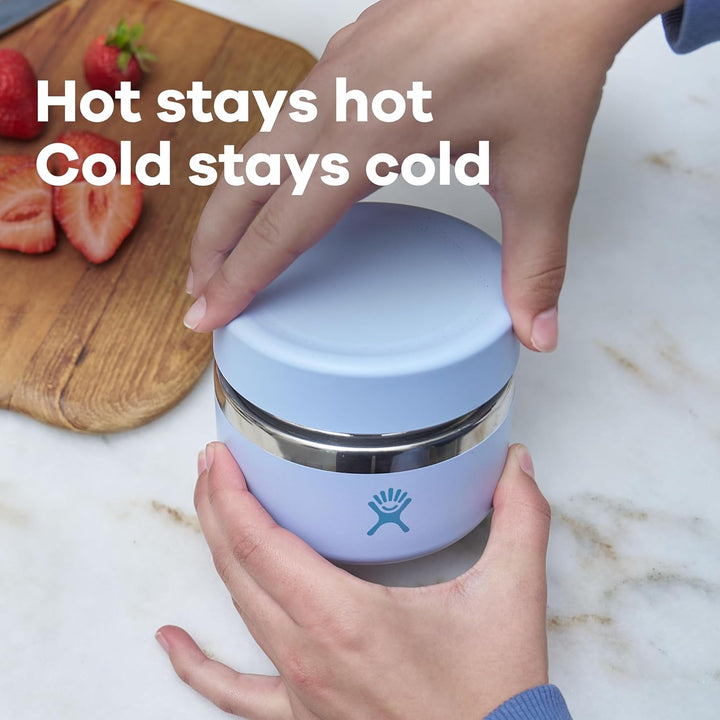 Hydro Flask Isolierter Lebensmittelbehälter, Agave, 590 ml Agave-grün 1 EA 590 ml, Agave-grün 1