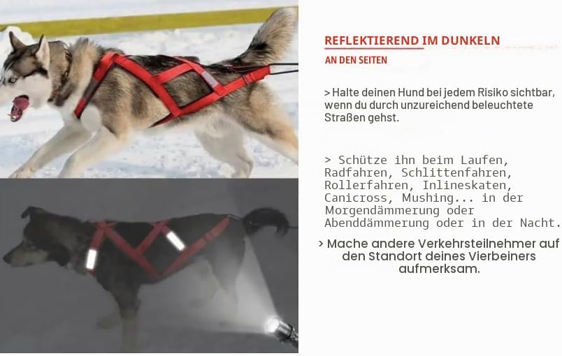 Total Sportgeschirr mit Hund, Laufen, Canicross, Schlitten, Mushing, Fahrrad, Roller... (M, Rot) M R