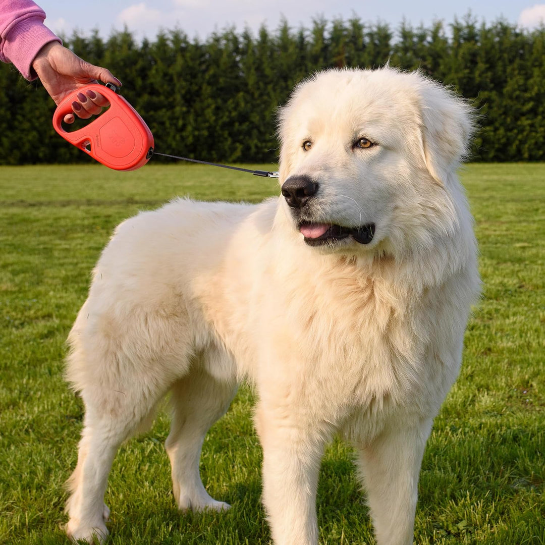 Ferplast Guinzaglio per Cani Allungabile FLIPPY ONE, Guinzaglio per Cani Taglia Grande fino a 50 Kg.