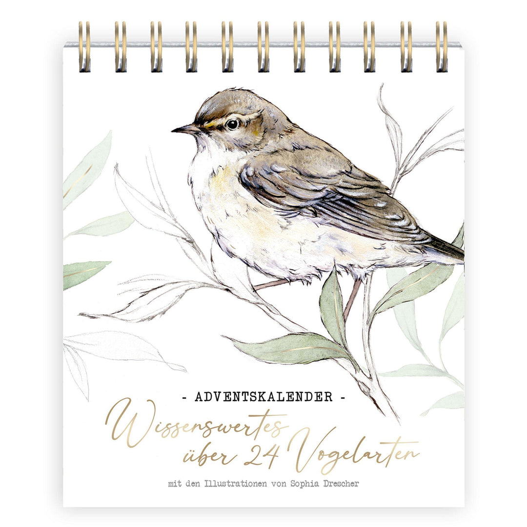 Adventskalender Wissenswertes über 24 Vogelarten: Adventskalender, Kalender