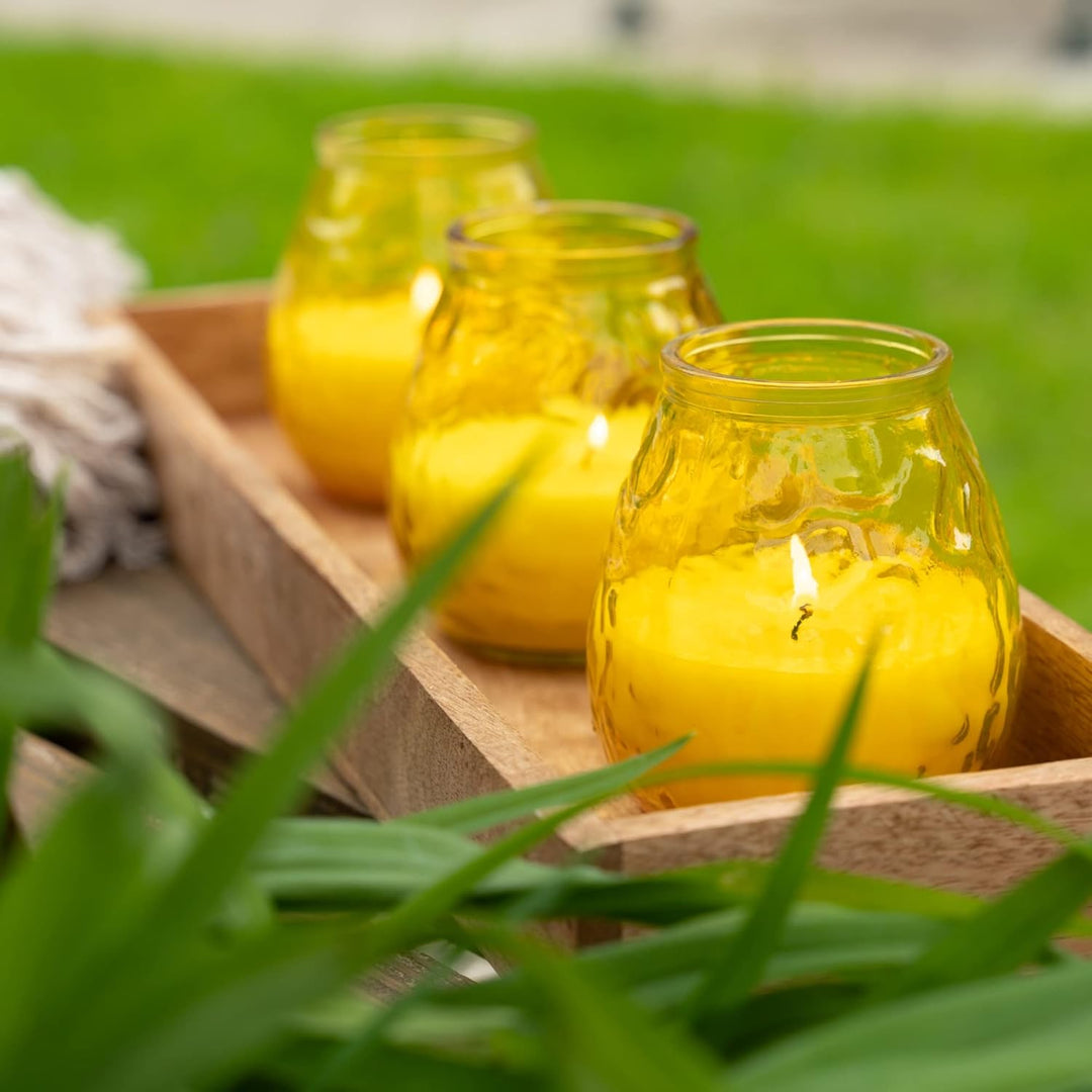 HOFER 6 x Bistro-Licht Citronella gelb | Windlicht Outdoor | Hochwertige Kerze im Glas mit Citronell
