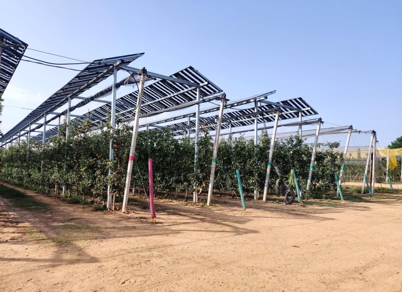 SoliTek Solarmodul Solid Agro 290W – Für Landwirtschaft & Gewerbe, Verringert den Wasserbedarf von P