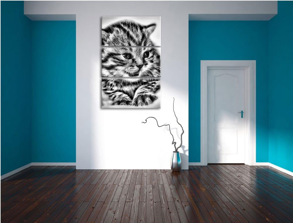 Pixxprint kleines Kätzchen auf weisser Decke als Leinwandbild/Grösse: 3 Teilig (120x80) / Wandbild/K