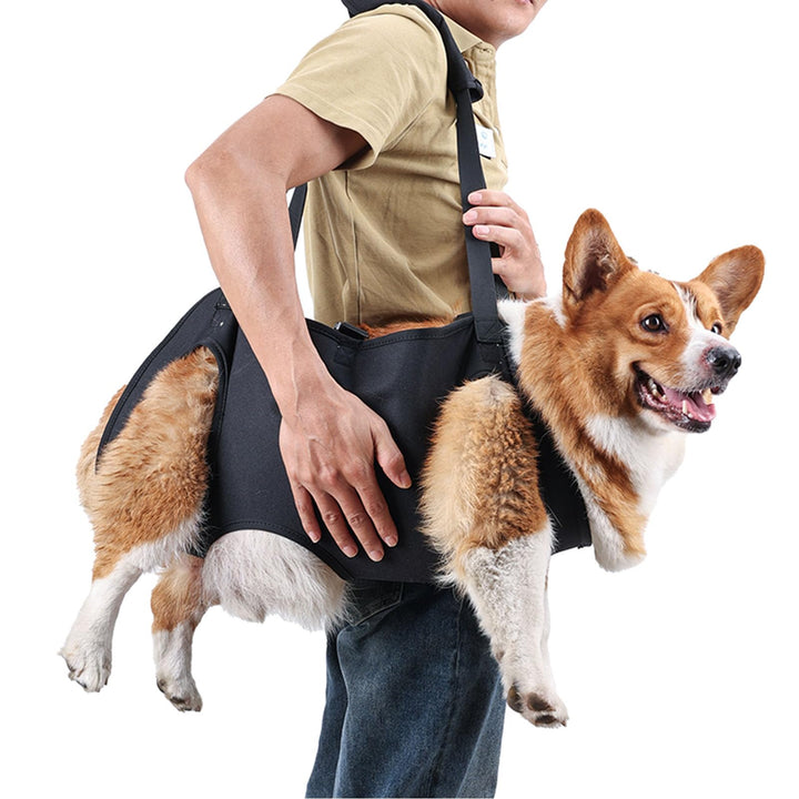 Hundetragetasche, Notfallrucksack für Haustiere, Beine, Unterstützung & Rehabilitation, Hunde-Liftge
