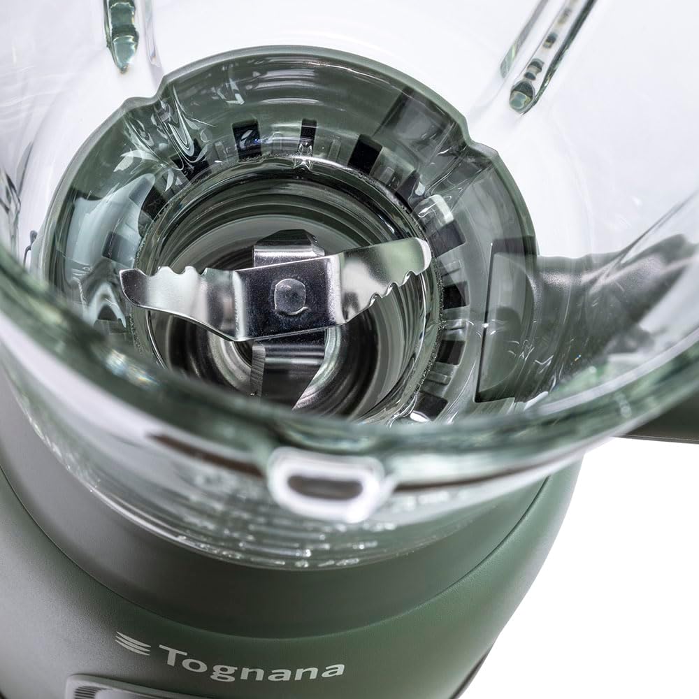 Tognana Iridea Standmixer mit 4 Klingen, Salbeigrün