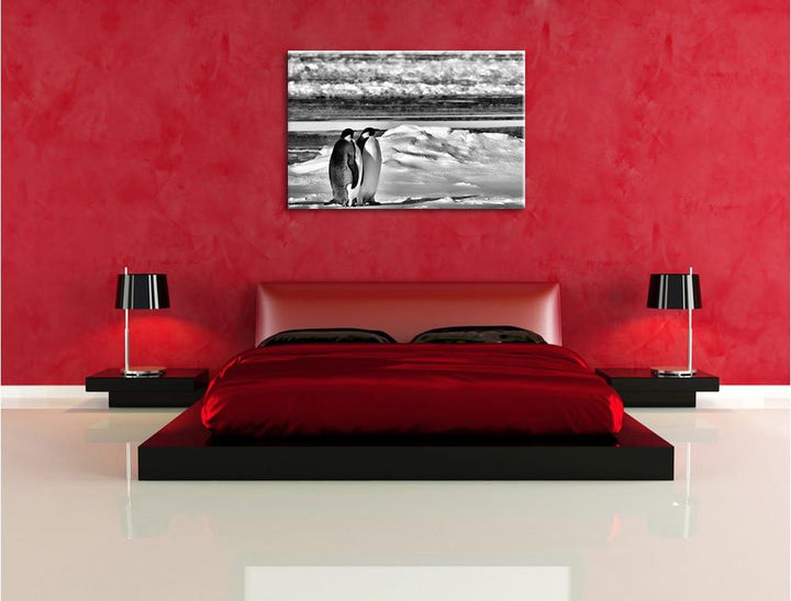 Pixxprint Monocrome, Zwei Kaiserpinguine auf Eisscholle, Format: 100x70 auf Leinwand, 100x70
