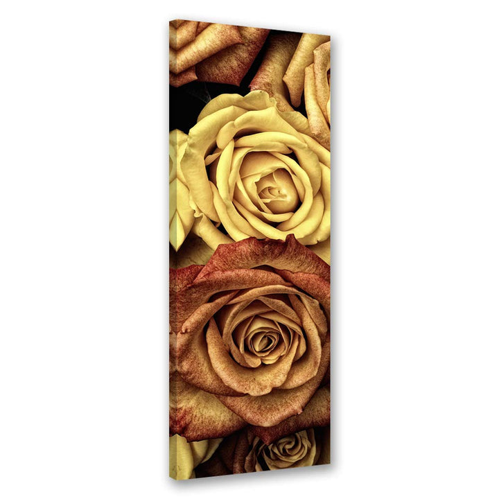 Feeby Wanddeko Rose Leinwandbild Kunstdruck abstrakt Braun 40x100 cm Leinwandbild 40x100 cm Braun_a,