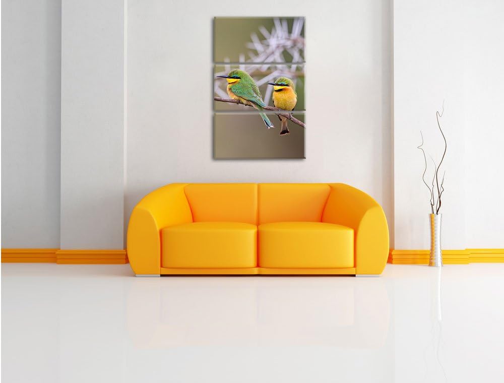 Pixxprint Vögel auf AST als Leinwandbild/Grösse: 3 Teilig (120x80) cm/Wandbild/Kunstdruck/fertig bes