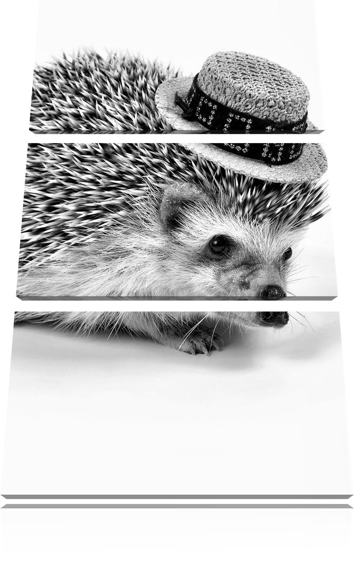 Pixxprint Lustiger Igel mit Hut als Leinwandbild/Grösse: 3 Teilig (120x80) cm/Wandbild/Kunstdruck/fe