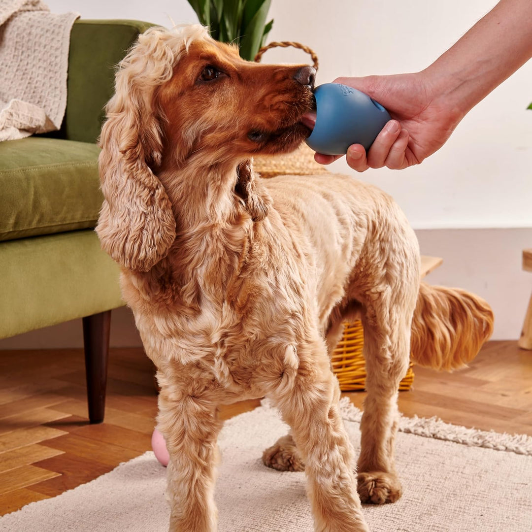 Beco Hundespielzeug - Langeweile Buster Anreicherung Spielzeug für Hunde, interaktiver Leckerliball,