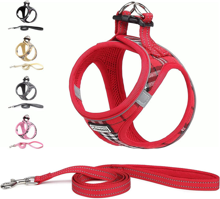 Suredoo Hundegeschirr Kleine Hunde mit Leine, Anti Zug Geschirr Reflektierend Atmungsaktiv Brustgesc