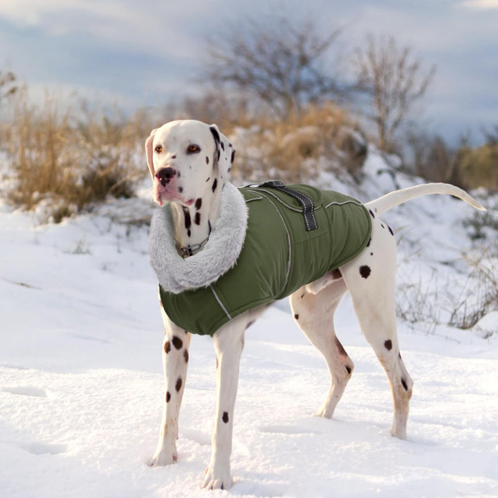 Lelepet Hundemantel Winterweste Reflektierende Fleece Hundejacke für Extra Grosse Hunde Wasserdicht