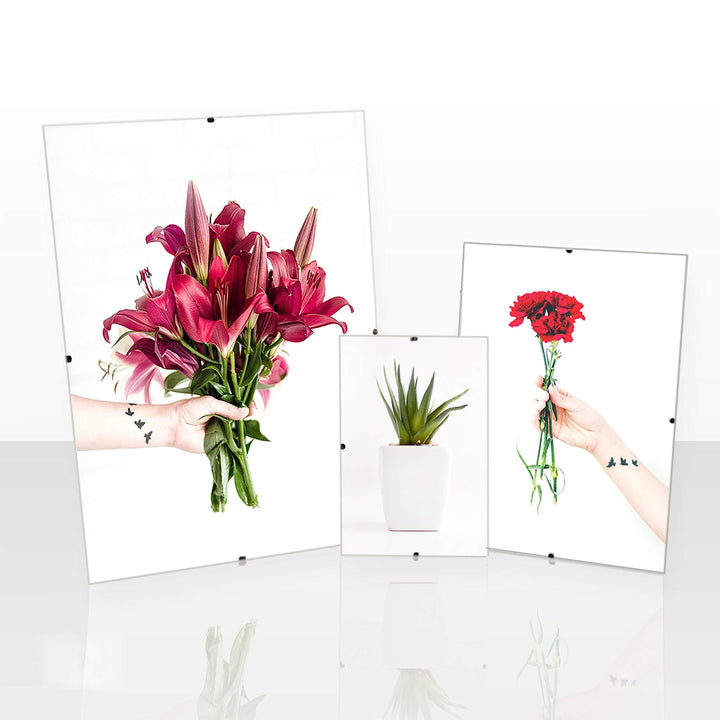 Clippo Rahmenloser Bilderrahmen Posterrahmen 35x55 cm Cliprahmen Bildhalter 55x35 cm mit Rückwand un
