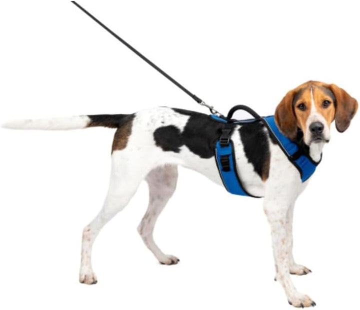 PetSafe EasySport Hundegeschirr, Komplett gepolstert mit elastischem Halsteil, Für Hunde von 29,5-36
