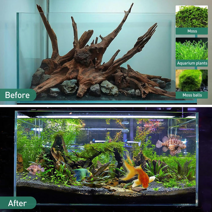 WDEFUN Natürliches Treibholz für Aquarium-Dekoration, 3-teilig, 17,8 - 27,9 cm, grosses Treibholz fü