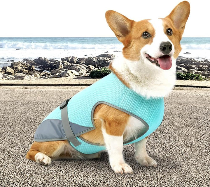 Hunde Kühlweste, Hundekühljacke Hundekühlmantel mit Verstellbarer Schnalle für Outdoor Jagdtraining,