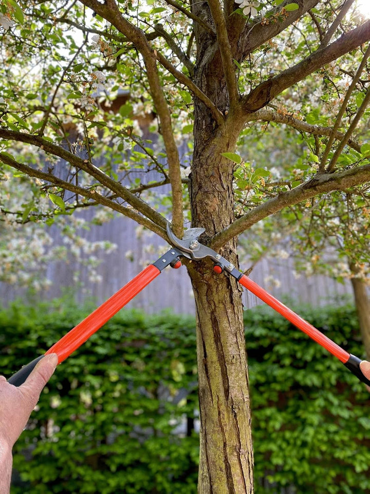 Podadera Dos Manos 50 Cm