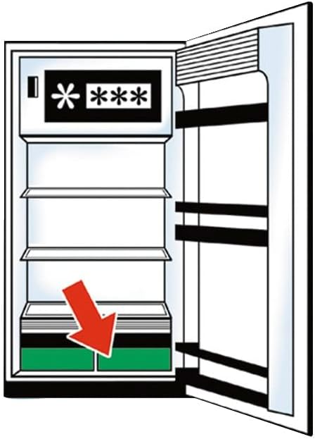 WENKO Kühlschrank Frischhaltematte schützt Lebensmittel vor Druckstellen Grün Grün 47L x 30B x 1D cm