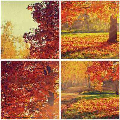 Panorama Bilder auf Leinwand 100x40cm Leinwandbild Park Herbst Baum Gross Wanddeko Bild Schlafzimmer