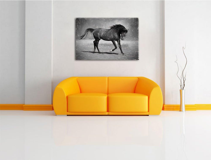 Edler schwarzer Hengst schwarz weiss Deluxe Format: 100x70 cm auf Leinwand, XXL riesige Bilder ferti