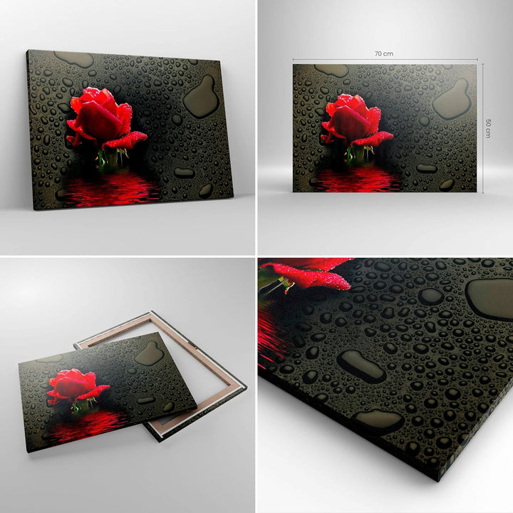 Bilder auf Leinwand Blume rote rose wasser tau Leinwandbild 70x50cm Wandbilder Dekoration Wohnzimmer