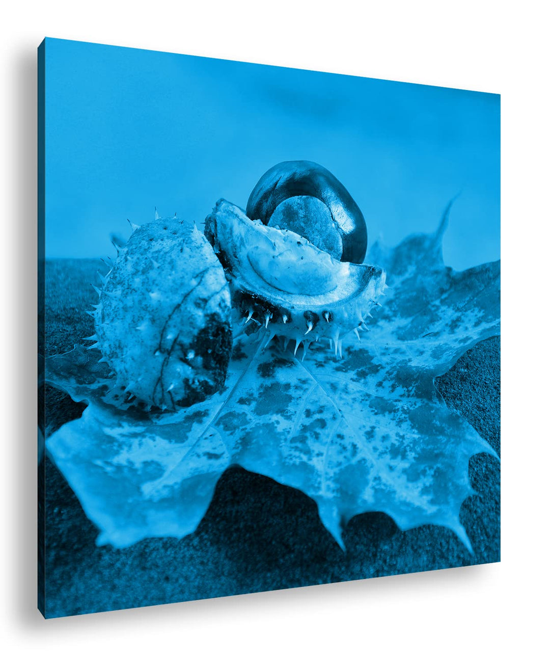 deyoli Lechtende Kastanien Format: 60x60 Effekt: Zeichnung als Leinwandbild, Motiv auf Echtholzrahme