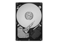 Seagate ST31000520AS