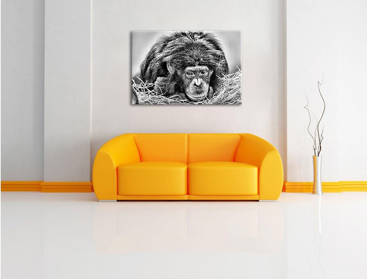 Pixxprint Kleiner Schimpanse im Heu / 100x70cm Leinwandbild bespannt auf Holzrahmen/Wandbild Kunstdr