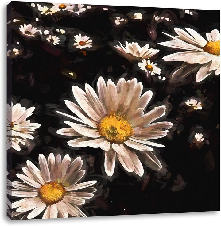 Pixxprint Margeriten als Leinwandbild/Grösse: 70x70 cm/Wandbild/Kunstdruck/fertig bespannt, 70x70
