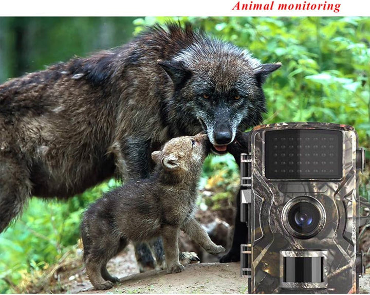 BESPORTBLE 2 Bewegungskamera Auslösen Nachtkamera Outdoor-Camcorder Wildbeobachtungskamera Drahtlose